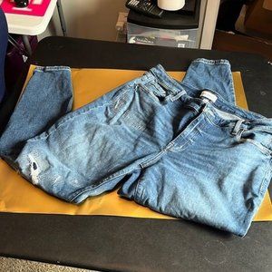 Lane Bryant skinny jeans